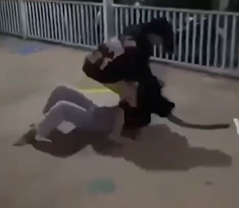 Truy tố một cô gái vụ thiếu nữ bị đánh hội đồng, lột đồ giữa đường -0