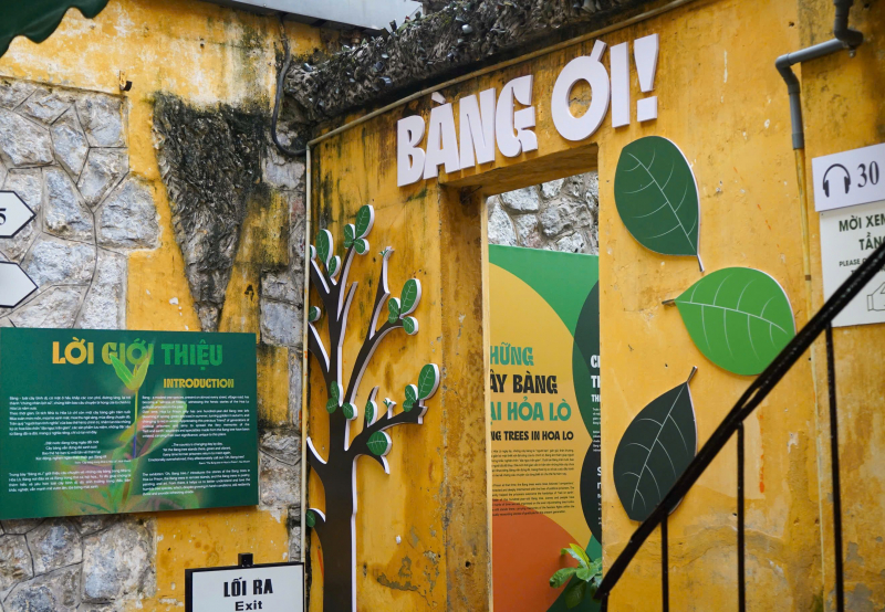 “Kể chuyện” về cây bàng trong Nhà tù Hoả Lò và những người cộng sản kiên trung -0