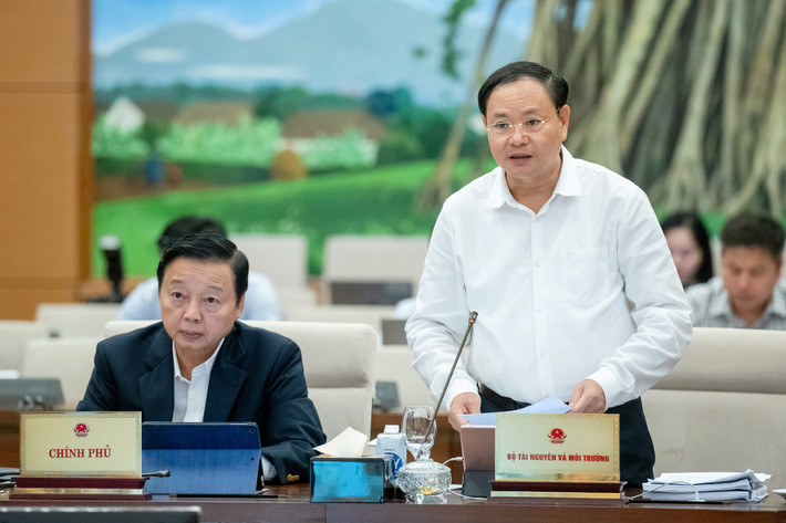 lê minh ngân.jpg -0