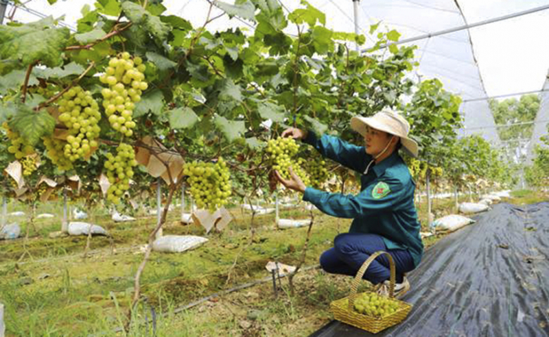 02102024trungmy02 bài 2.jpg -1