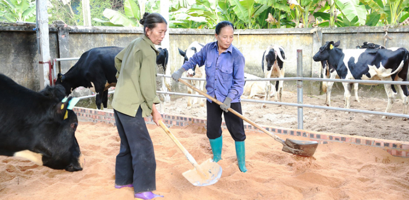 08102024nongnghieptuanhoan.jpg -4