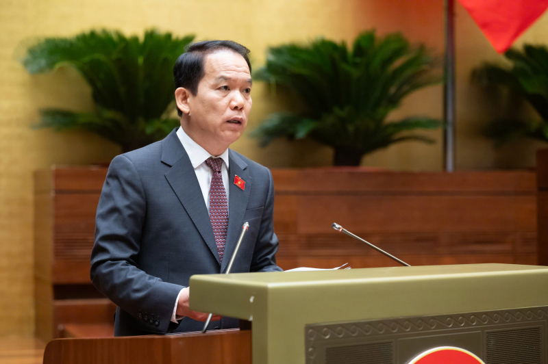 hoàng thanh tùng.jpg -0