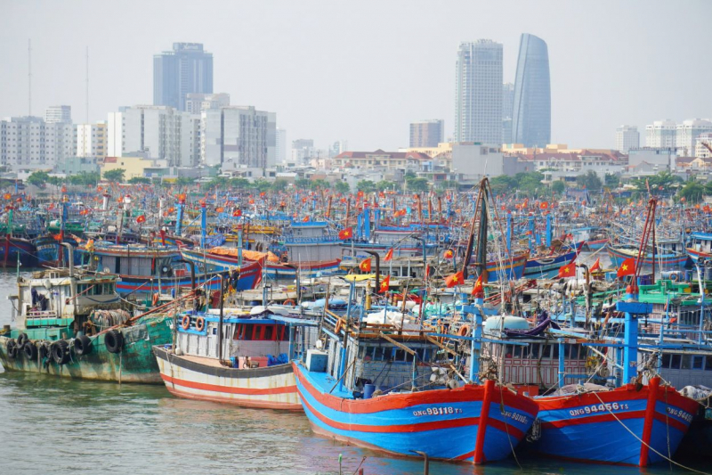 Đà Nẵng tất bật giúp dân chống bão Trà Mi -0