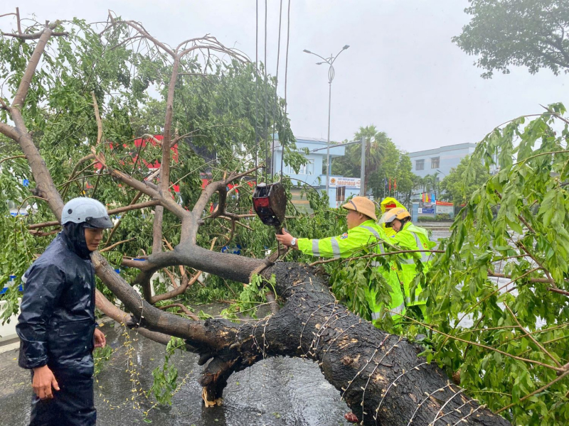 Hàng chục ngôi nhà tốc mái, gần 1000 cây xanh bị ngã, đổ do bão Trà Mi -0