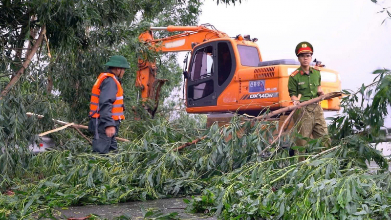 Hàng chục ngôi nhà tốc mái, gần 1000 cây xanh bị ngã, đổ do bão Trà Mi -0