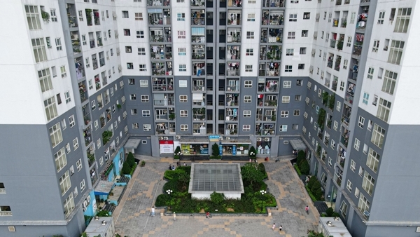 noxh_dai_kim-1730164777730.jpg