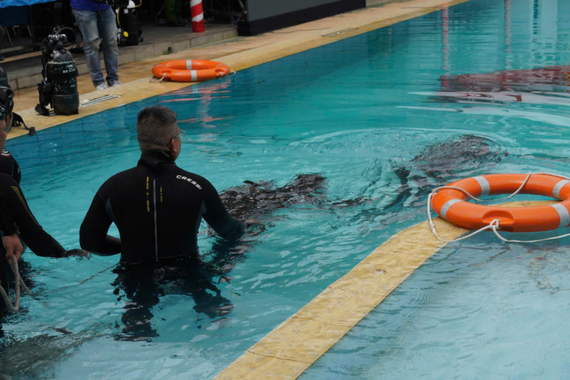 2 tổ Cảnh sát đặc biệt tinh nhuệ chữa cháy và CNCH trên cạn, dưới nước được thành lập -0