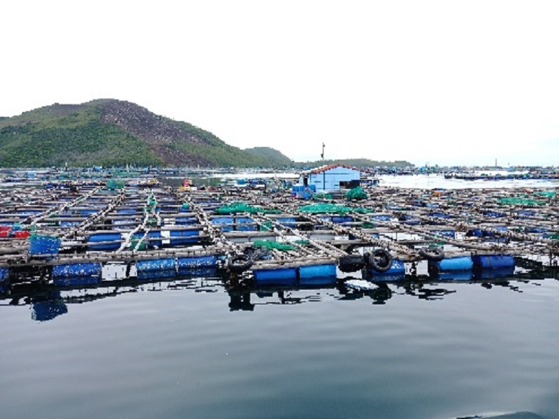 Sức hấp dẫn của sản vật miền biển Sông Cầu -0