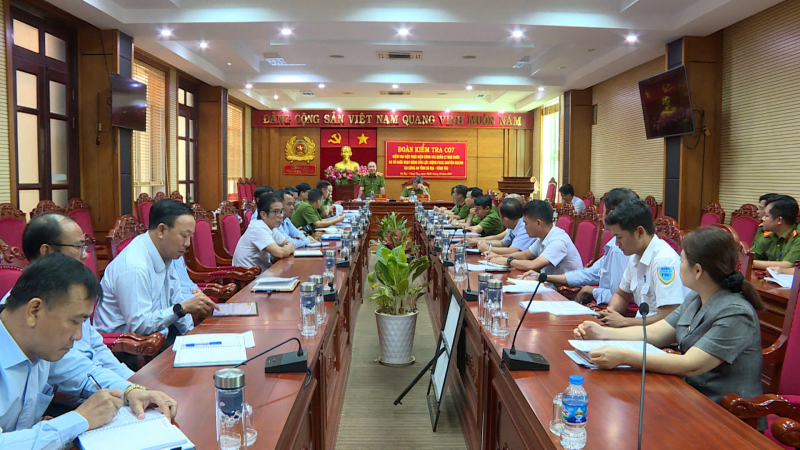 Kiểm tra hoạt động của lực lượng phòng cháy, chữa cháy chuyên ngành tỉnh Bà Rịa-Vũng Tàu -0