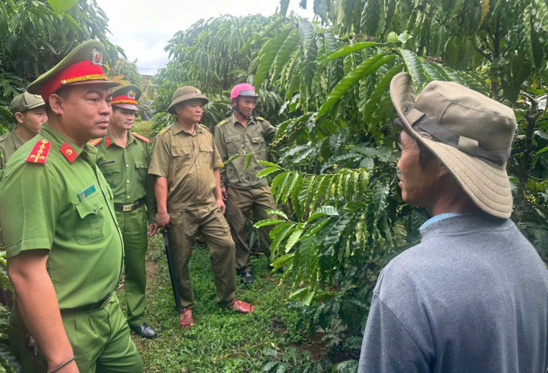 Chủ động ngăn ngừa tội phạm mùa thu hoạch cà phê ở Tây Nguyên -0