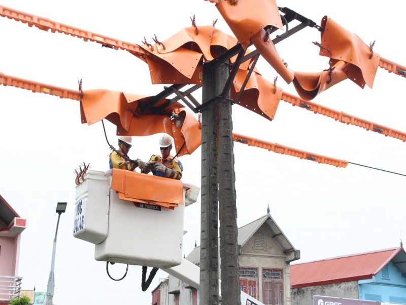 EVNNPC đề xuất đầu tư hạ tầng lưới điện bán lẻ trong KCN ở Bắc Giang  -0