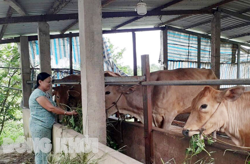 Gương tiêu biểu sử dụng hiệu quả vốn tín dụng chính sách -0