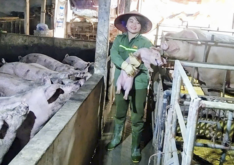 Nguồn vốn chính sách tạo sức bật cho nông dân Anh Sơn -0