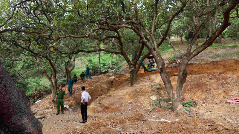 Xử phạt chủ đất nơi khai thác vàng trái phép ở Bình Phước -0