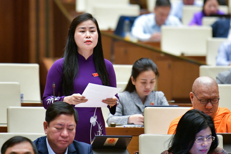 đặng thị bảo trinh.jpeg -0