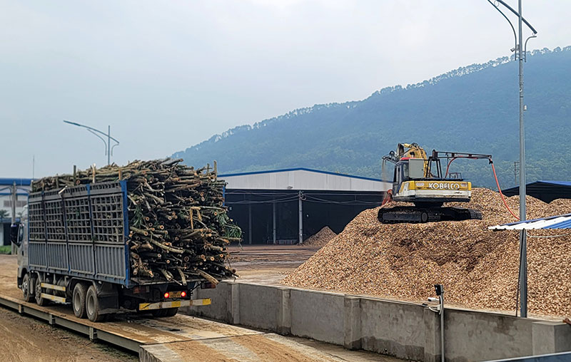 Quy trình băm dăm trong khuôn viên Nhà máy chế biến gỗ VBE Hà Tĩnh.