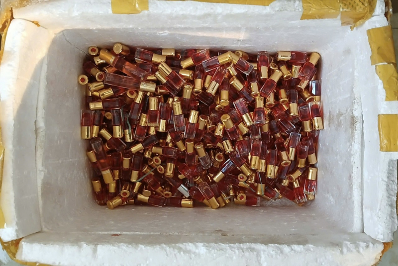 Bí mật bên trong những túi