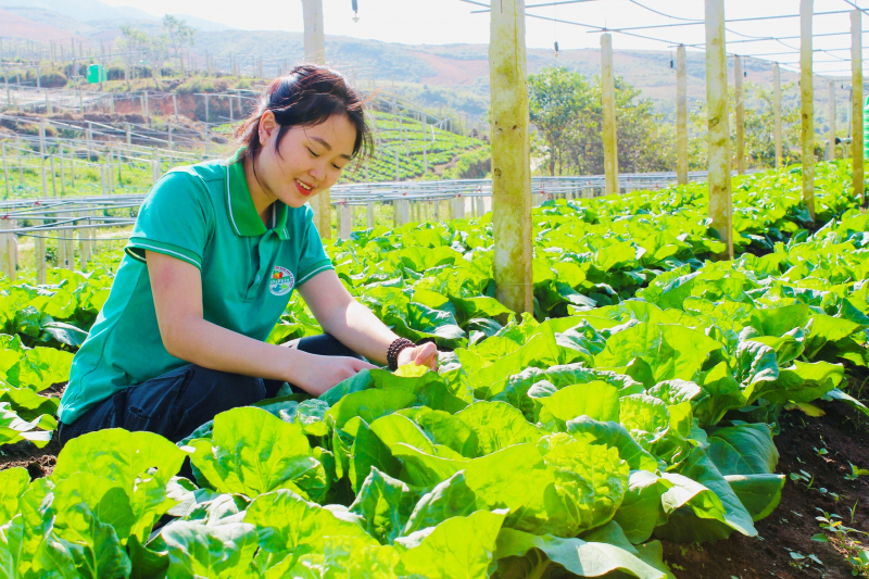 Nậm Pồ khởi sắc với những chính sách phát triển kinh tế vùng đồng bào dân tộc thiểu số và miền núi -0