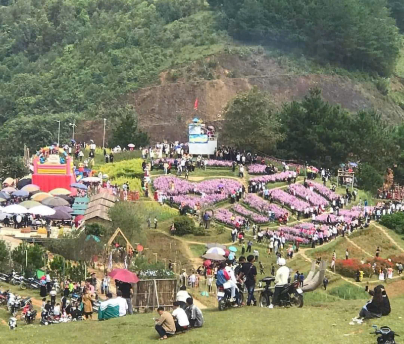 pha đin.jpeg -0