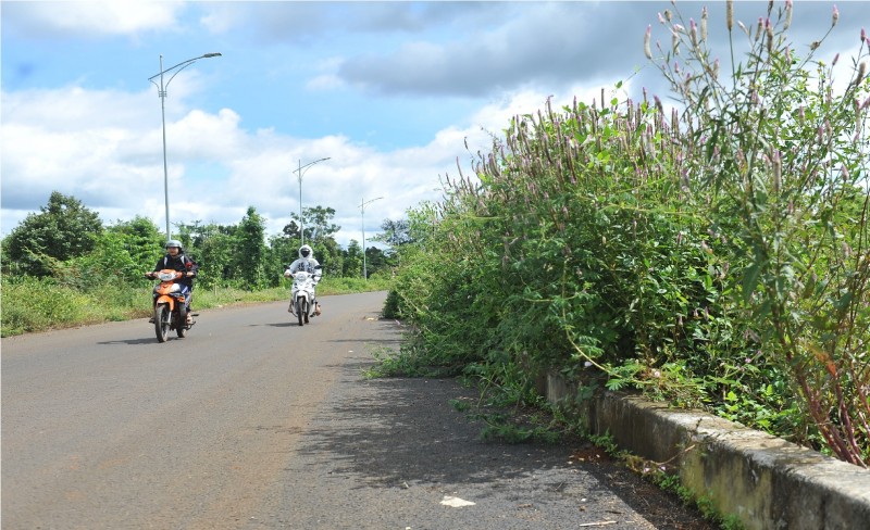 Đề nghị xử lý nhà thầu thi công chậm tiến độ Dự án đường tránh Đông Buôn Ma Thuột -0