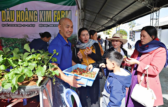 Ăn buffet rau miễn phí ở Festival hoa Đà Lạt -0