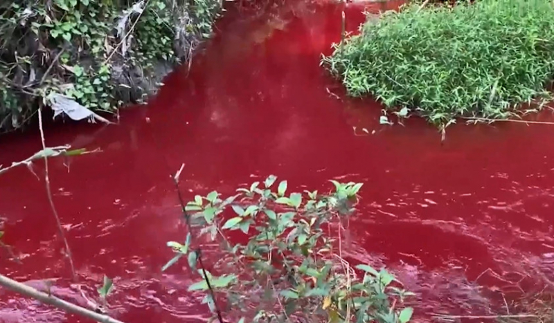 Đã xác định được nguyên nhân con suối ở Bình Phước bị nhuộm đỏ -0