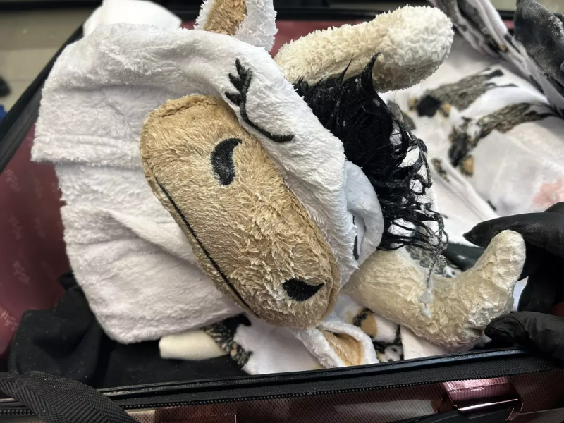 Tẩm ma túy đá vào quần áo để xách lên máy bay -0