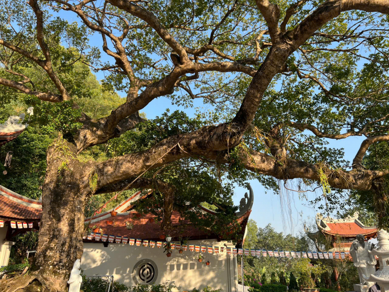 Công chúa Huyền Trân - Cuộc đời và giai thoại -0