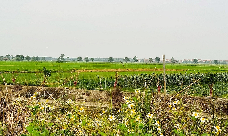 Bắc Ninh: Thanh tra Bộ Xây dựng yêu câù giải trình những bất thường trong quy hoạch Cụm công nghiệp Lâm Bình -0