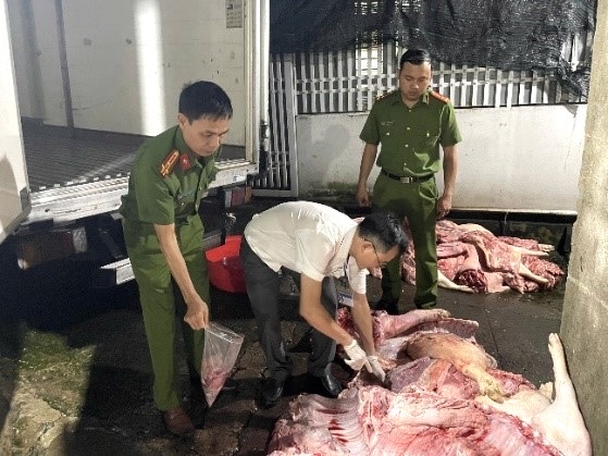 Khởi tố nhóm đối tượng chuyên thu gom lợn chết, lợn dịch xẻ thịt bán ra thị trường -0