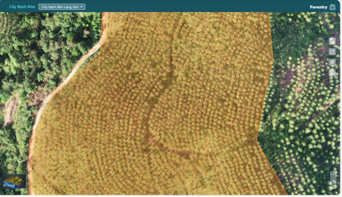 Tổng Công ty Lâm nghiệp Việt Nam chuyển đổi số, nâng cao hiệu quả hoạt động sản xuất, kinh doanh -0