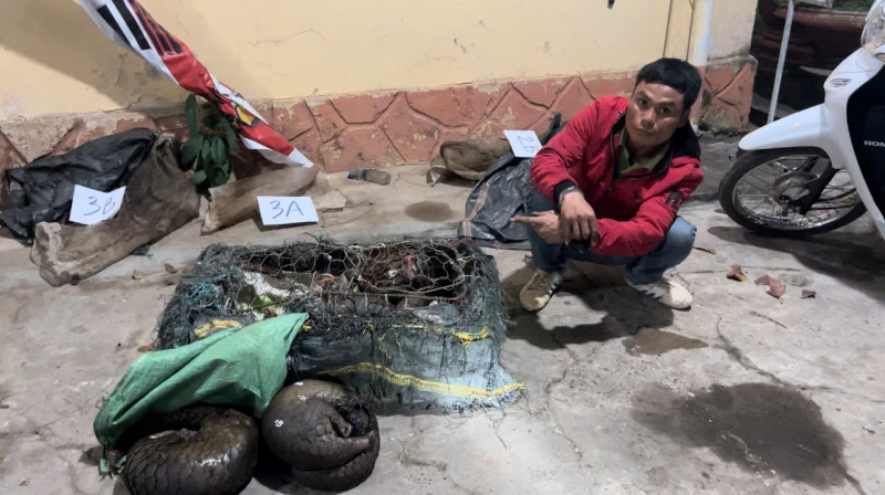 Bắt giữ đối tượng vận chuyển động vật hoang dã quý hiếm số lượng lớn -0