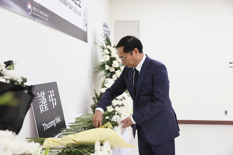 Phó Thủ tướng viếng và ghi sổ tang chia buồn tại Đại sứ quán Hàn Quốc -0