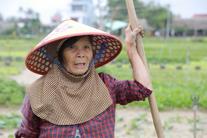 Đón tết ở làng rau Trà Quế -0