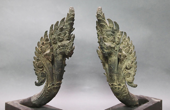 Những giấc mơ rắn -0