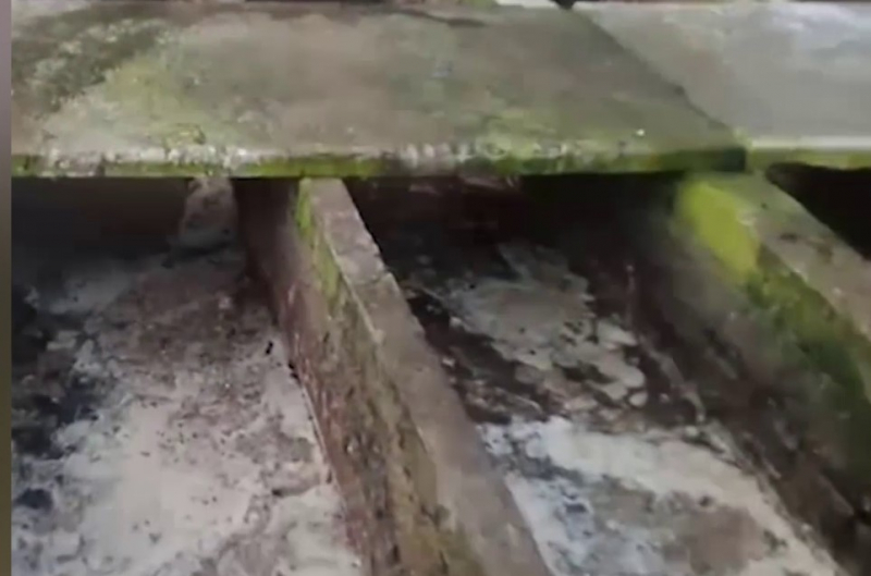 Phát hiện cơ sở giết mổ hàng trăm con heo bệnh tuồn vào các chợ đầu mối tiêu thụ -0