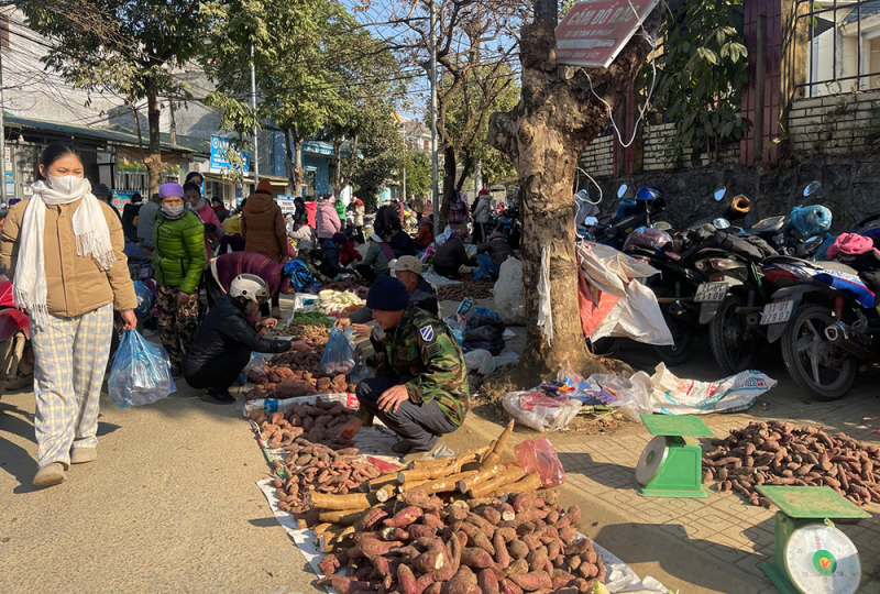 748959c7-a75b-4a67-8a05-c27e143293e9.jpg -0