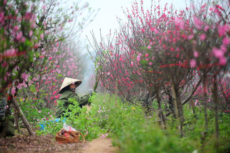 Đón thêm không khí lạnh, Bắc Bộ trời tiếp tục rét -0