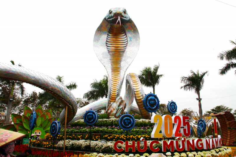 Linh vật rắn Phú Yên “Vươn ra biển lớn trong thời kỳ hội nhập” -0