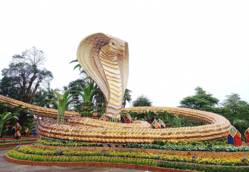 Linh vật rắn Phú Yên “Vươn ra biển lớn trong thời kỳ hội nhập” -0