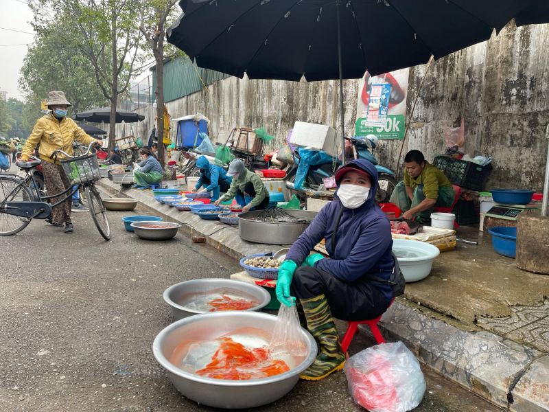 Thị trường hàng hóa, đồ lễ cúng ông Táo dồi dào, sức mua tăng -0