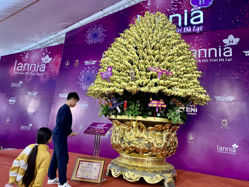 Thị trường cây cảnh Tết: Người ngắm nhiều hơn người mua -0