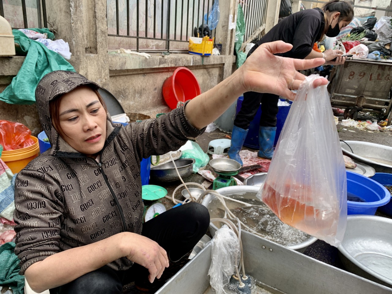 Cá chép tăng giá trong ngày ông Công ông Táo -0