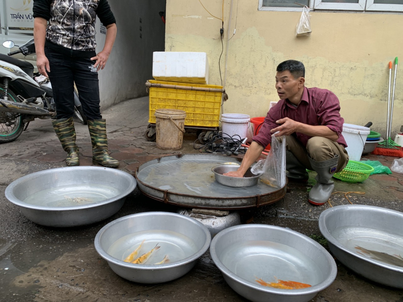 Cá chép tăng giá trong ngày ông Công ông Táo -0