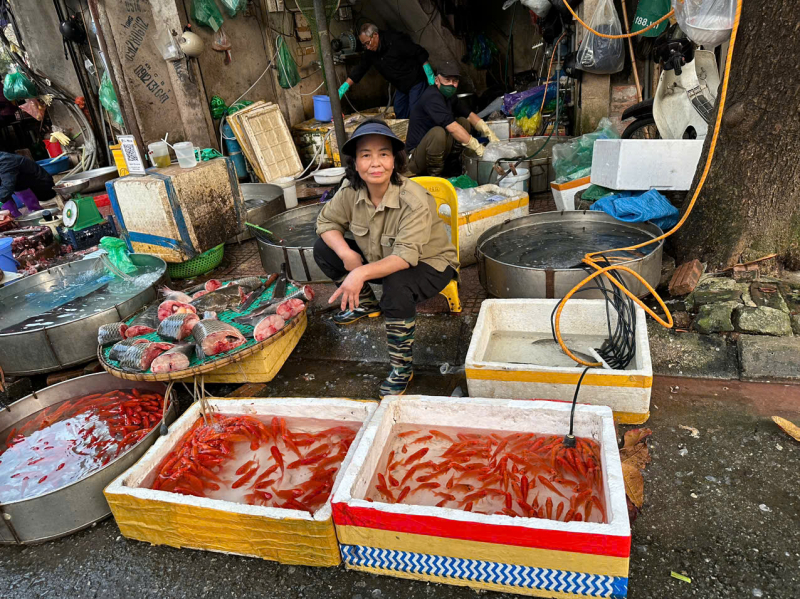 Cá chép tăng giá trong ngày ông Công ông Táo -0