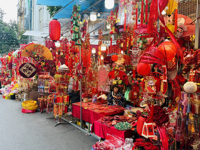 Nhộn nhịp chợ hoa xuân Hàng Lược -0