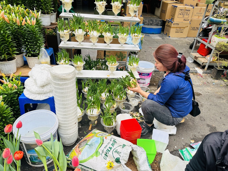 Nhộn nhịp chợ hoa xuân Hàng Lược -0