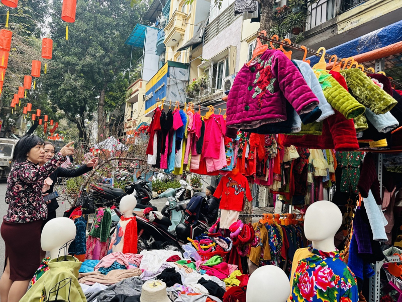 Nhộn nhịp chợ hoa xuân Hàng Lược -0