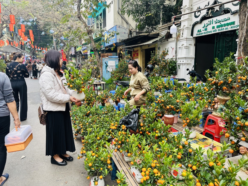 Nhộn nhịp chợ hoa xuân Hàng Lược -0