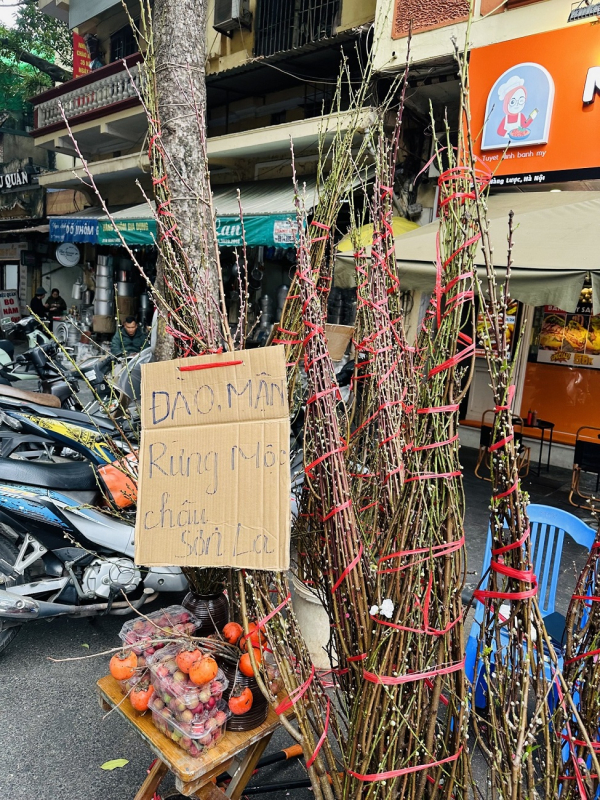 Nhộn nhịp chợ hoa xuân Hàng Lược -0